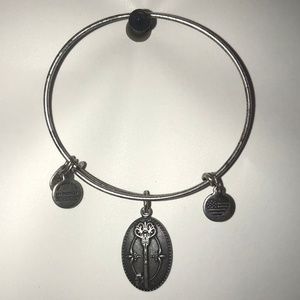 Alex and Ani Charm Bracelet
